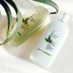 Виды шампуней