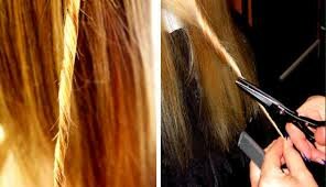 При стрижке горячими ножницами проводят запаивание волос жгутиками.