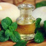 Эфирное масло мяты, польза и свойства мятного масла