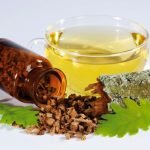 Кора дуба для волос. Влияние коры дуба на волосы, рецепты домашних средств.