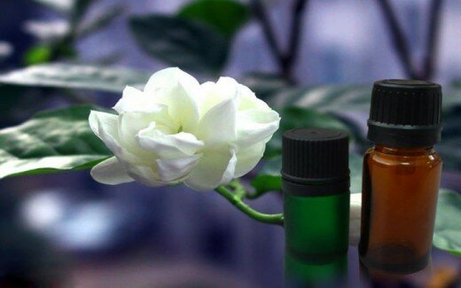 Цветы жасмина для кожи лица thumbnail